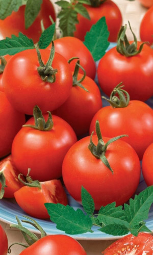 Томат ЧАРОДЕЙ &mdash; Вкус из детства! Не боится ни жары, ни холода! Плоды не трескаются! Для засолки и консервирования!