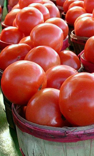 Томат ГРУНТОВЫЙ ГРИБОВСКИЙ 1180 &mdash; Очень хороший, раннеспелый сорт! Не пасынковать и не подвязывать, растёт сам собой, без хлопот! Для заготовок, сорта лучше не найти!