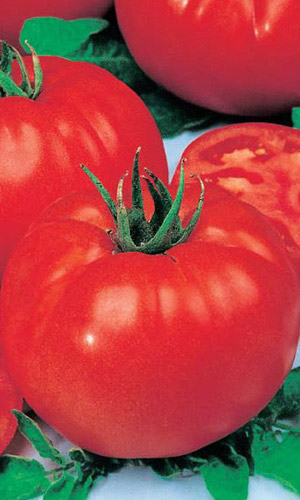 Томат КОРОЛЬ ГИГАНТОВ &mdash; Супергиганты до 1 кг! Стабильно высокая урожайность!