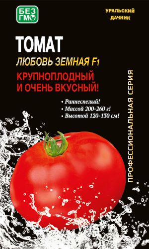 Томат ЛЮБОВЬ ЗЕМНАЯ F1 &mdash; Крупноплодный и очень вкусный! Раннеспелый!