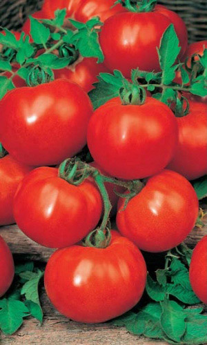 Томат МАРФА F1