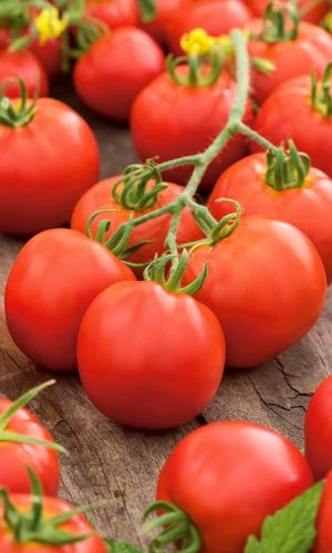 Томат НЕПАСЫНКУЮЩИЙСЯ ОКРУГЛЫЙ &mdash; Ультраскороспелый! Супернеприхотливый и обильноурожайный!