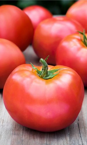 Томат НЕВСКИЙ КАРЛИК &mdash; Детерминантный, стелющийся куст! Масса 120-150 г! Не страшны перепады погоды! Высокая урожайность в любой год!