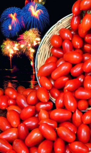 Томат ПРАЗДНИЧНЫЙ