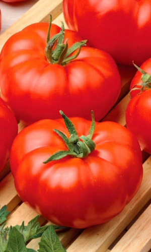 Томат РАЙСКОЕ НАСЛАЖДЕНИЕ