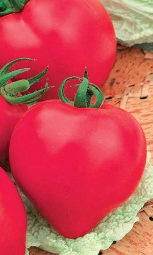 Томат РОЗОВОЕ СЕРДЦЕ
