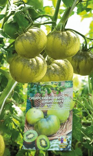 Томат СИБИРСКИЙ КОНФИТЮР F1 &mdash; Плоды со вкусом спелого киви! Сибирская селекция! Чудесный, коллекционный сорт, поражающи своими вкусовыми качествами!