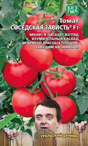 Томат СОСЕДСКАЯ ЗАВИСТЬ F1 &mdash; Манит и ласкает взгляд изумительный каскад искристо-красных плодов! Соседям на зависть, а вам на радость!