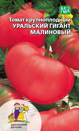 Томат УРАЛЬСКИЙ ГИГАНТ МАЛИНОВЫЙ — Сладкий! Медовый! Коллекционный!