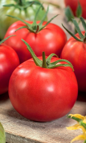 Томат ЯБЛОЧНЫЙ &mdash; Соблазнительный вкус и восхитительный вид! Великолепная урожайность!