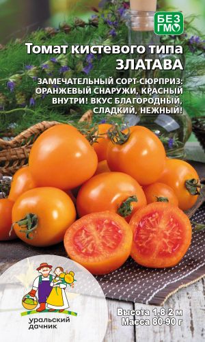 Томат ЗЛАТАВА &mdash; Замечательный сорт-сюрприз! Вкус благородный, сладкий и нежный!