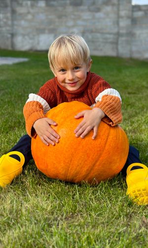 Тыква ГРОМИЛА