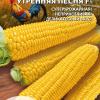 Кукуруза УТРЕННЯЯ ПЕСНЯ F1