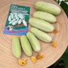Огурец БЕЛЫЙ САХАР F1