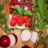 Редис САХАРНАЯ МОЛНИЯ F1