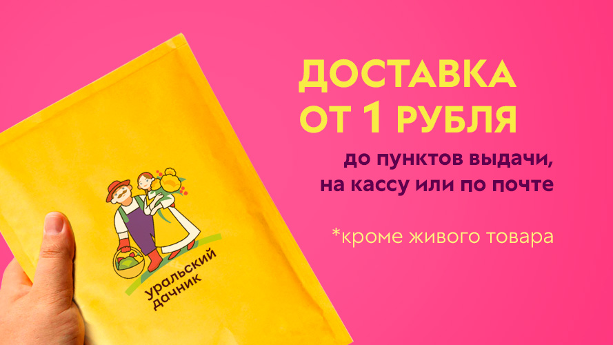 Доставка от 1-го рубля! Субсидируем за свой счёт!